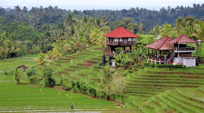 Peyzaj Nasıl Yapılır?