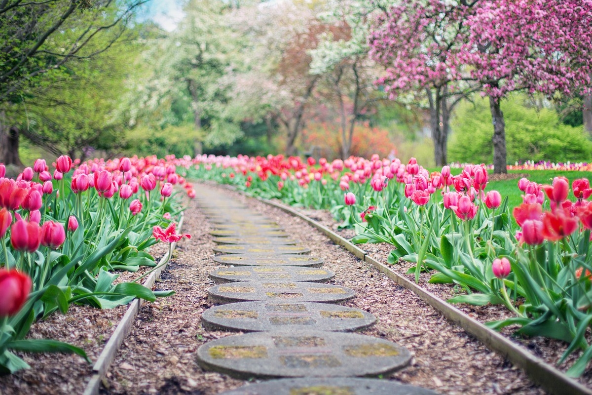 Peyzaj Türleri Nelerdir?