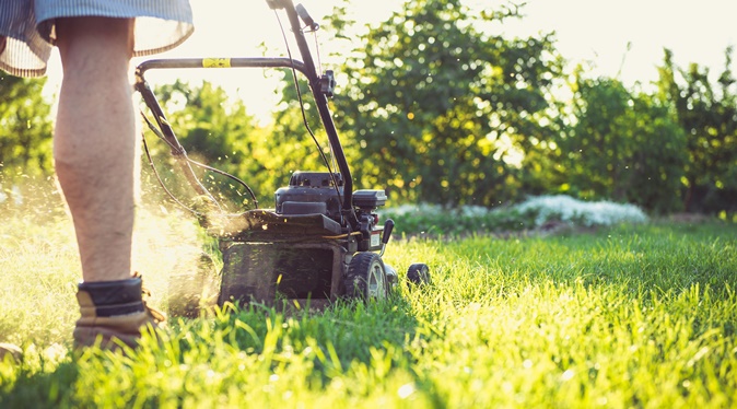 Çimler Nasıl Ve Hangi Sıklıkta Biçilir?