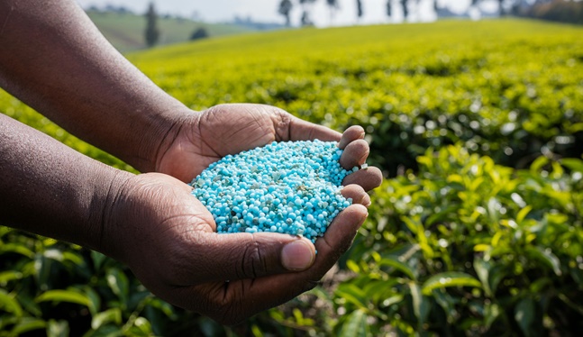 Yavaş Salınımlı Gübre Nedir?