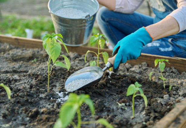 Elenmiş Gübreli Toprak Nedir?
