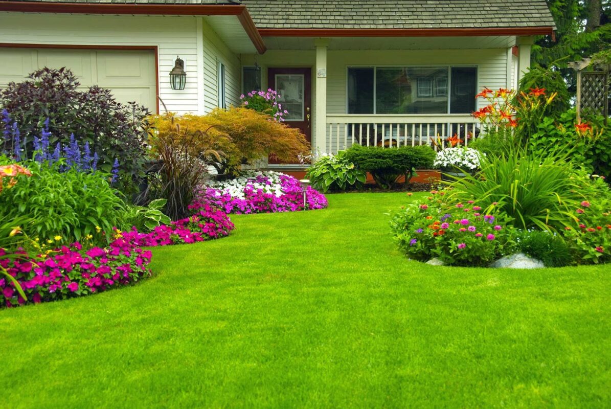 Peyzaj Nedir? Bilmeniz Gerekenler