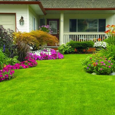 Peyzaj Nedir? Bilmeniz Gerekenler