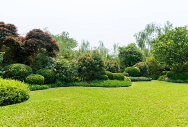 Peyzaj Nerelerde Kullanılır?