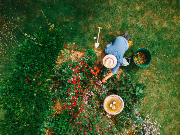 Peyzajın Tanımı Ve Önemi: Yeşil Alanların Düzenlenmesi